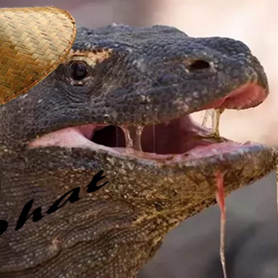 Дракон Комодо