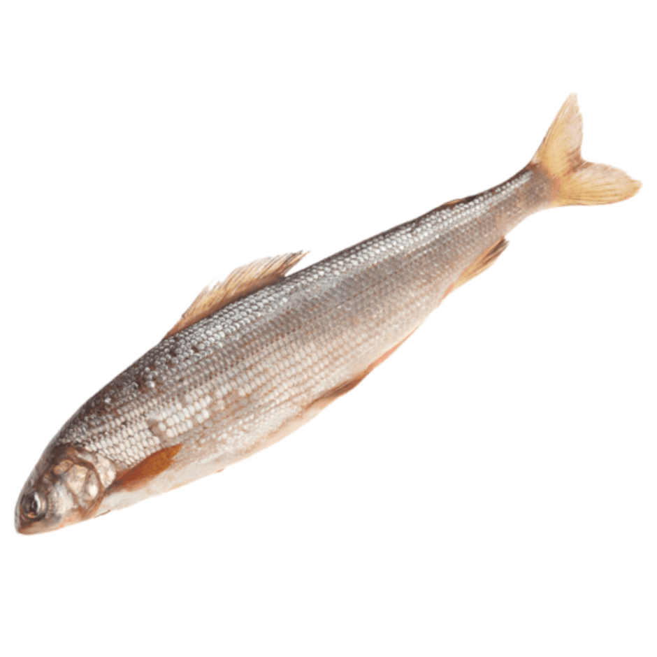 Крючки Gamakatsu Hook LS-1810b