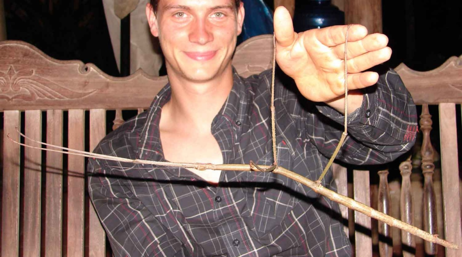 Жук палочник