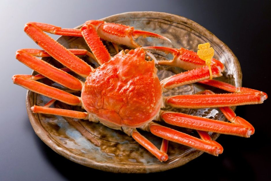 Королевский краб Камчатский краб