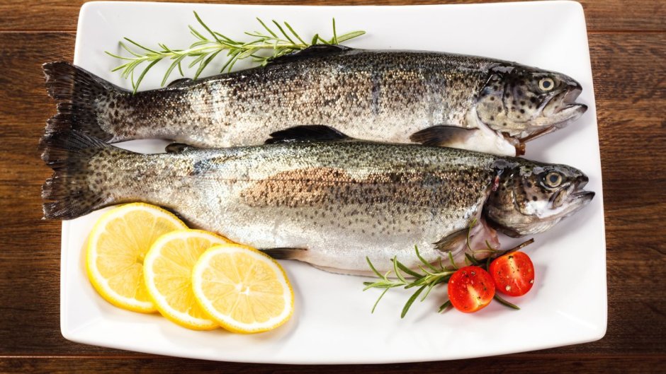 Северная рыба муксун