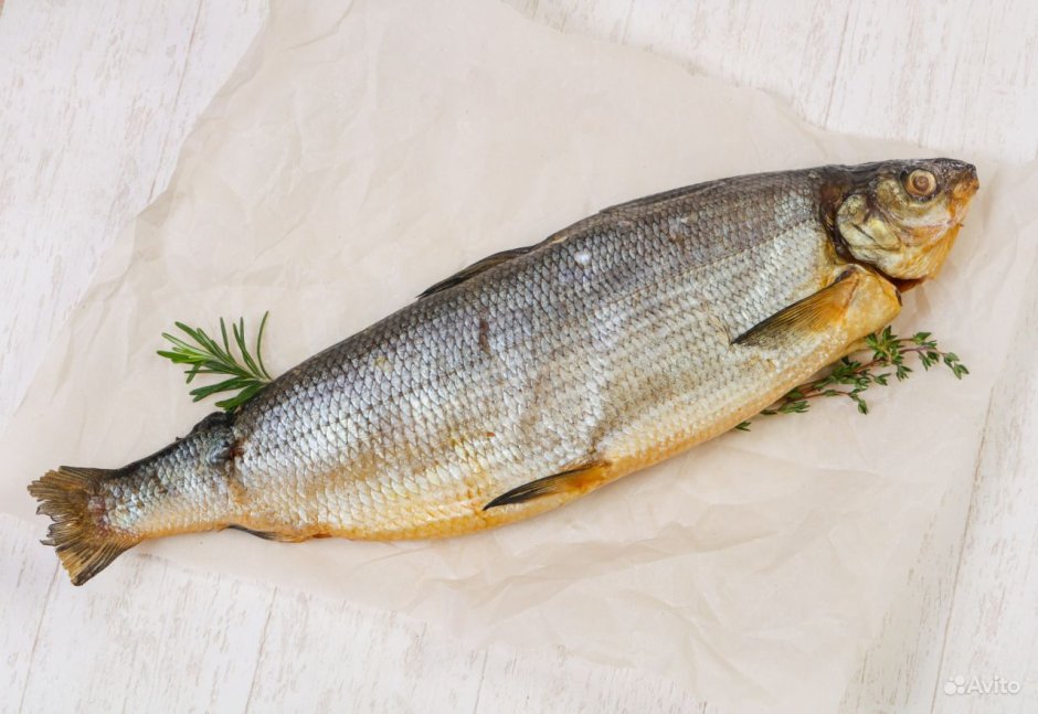 Сиг рыба копченая