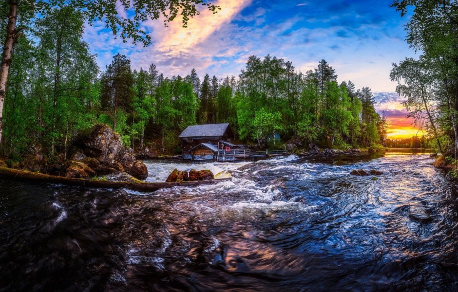 Рыба хариус Сибирский