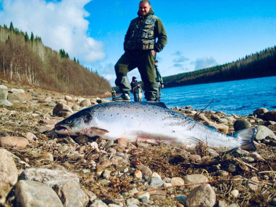 Кумжа озеро Пяозеро