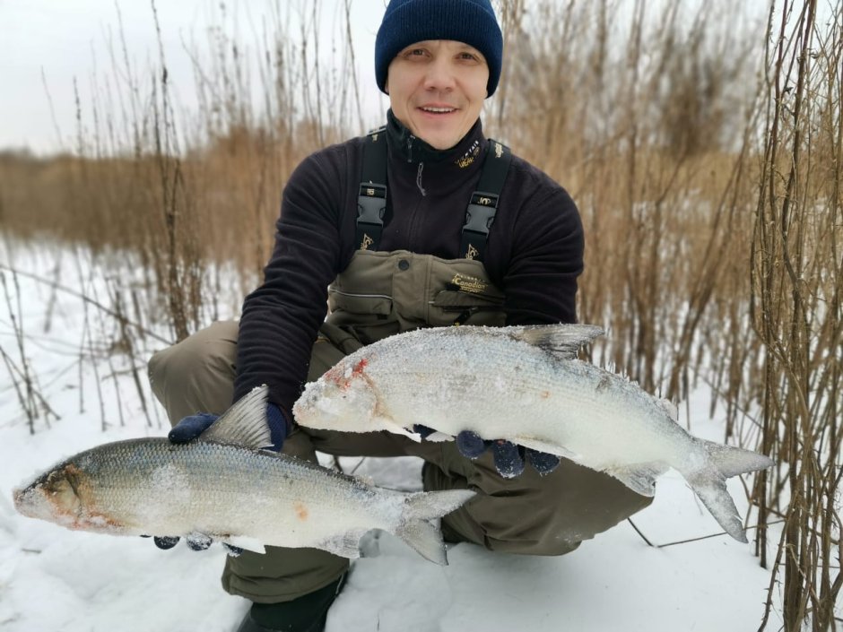 Река Тудовка хариус