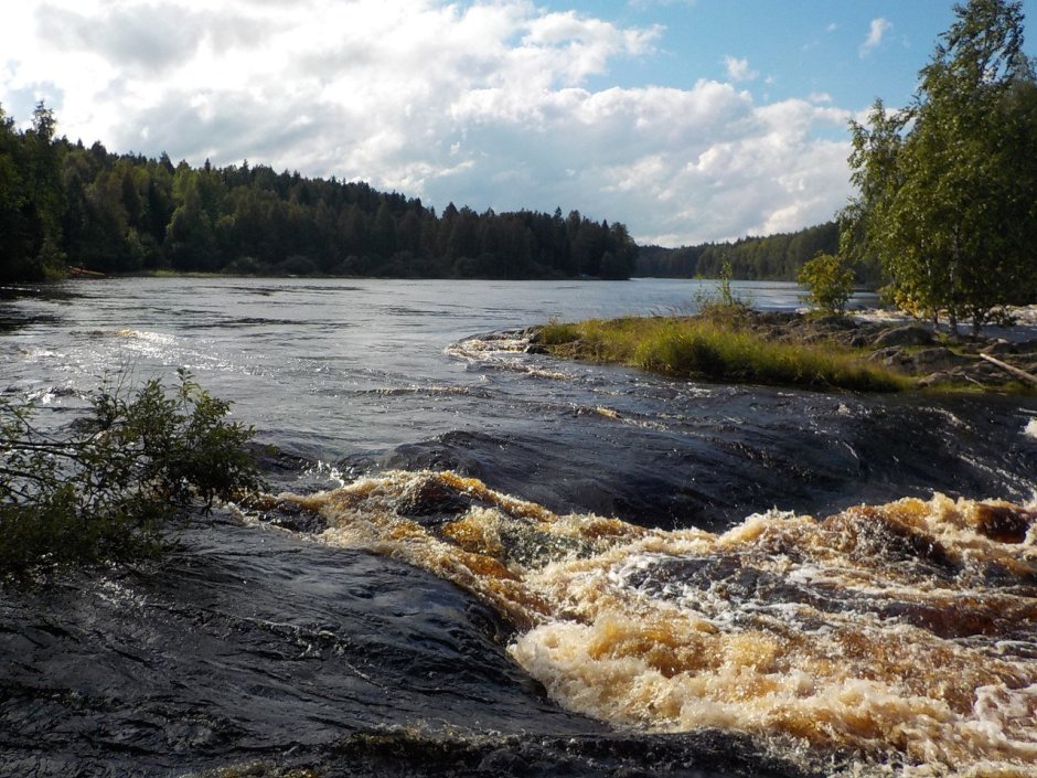 Переславль-Залесский рыба ряпушка