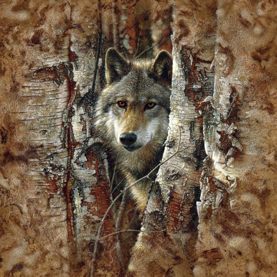Художник Collin Bogle