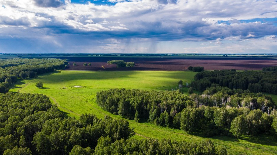 Поля Новосибирской области