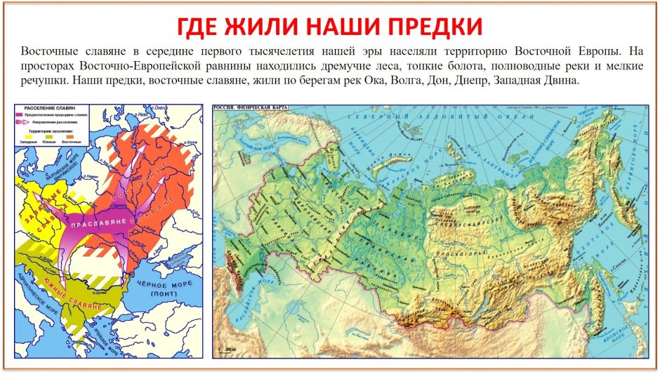 Разнотравно-злаковая степь Краснодарский край