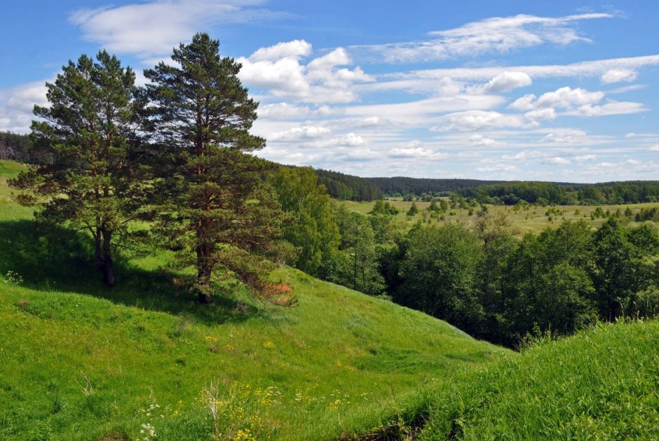 Река Печора на карте России