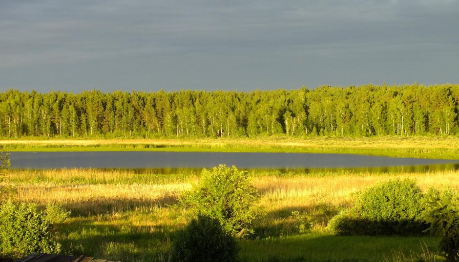 Природа Кургана и Курганской области