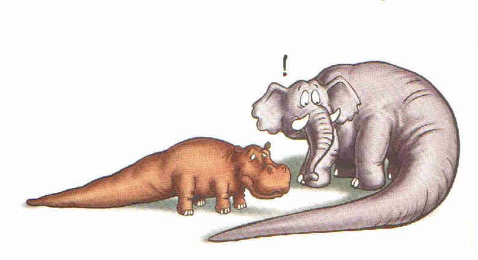 Гребнистый крокодил против бегемота