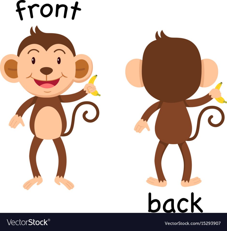 Back для детей