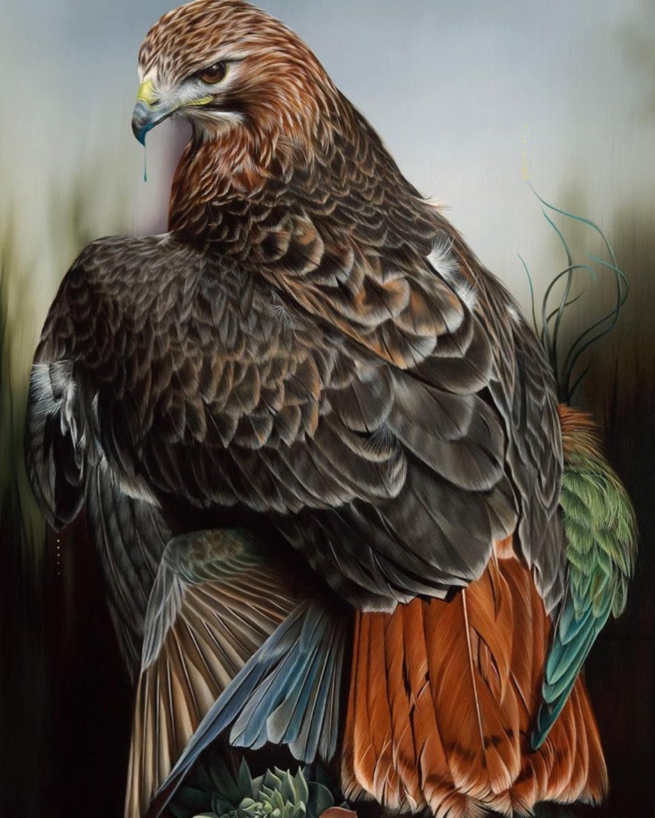 Ястреб в живописи