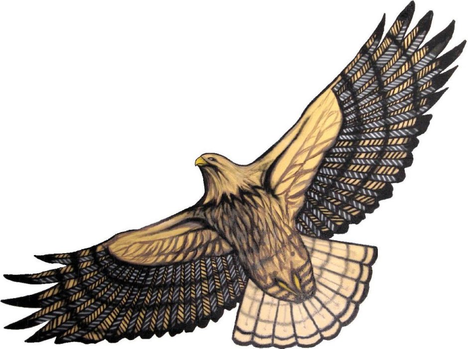 Сокол векторное изображение