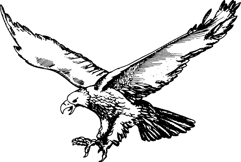 Орел на белом фоне нарисованный