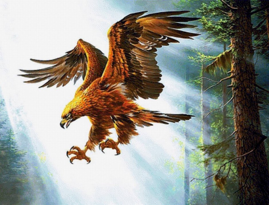 Буркут Степан