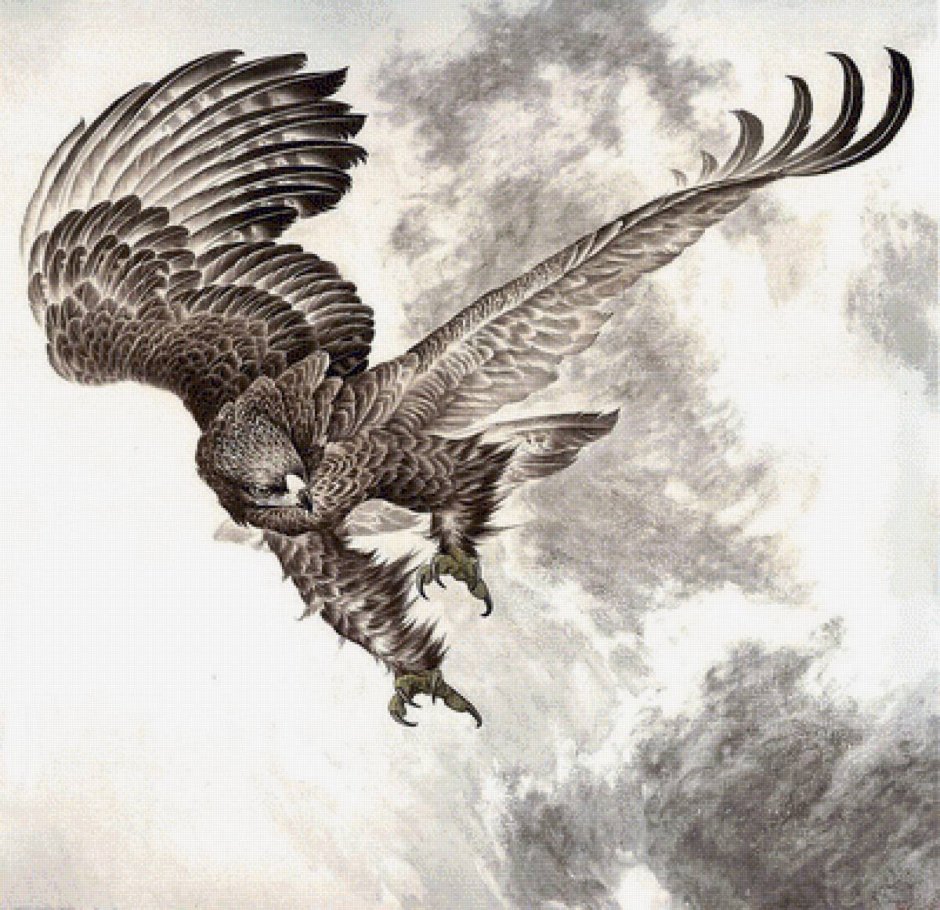 Орел в полете эскиз