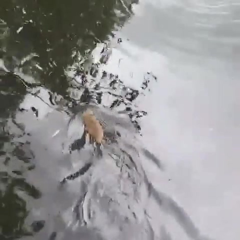 Материнская плата MSI 865gvm2-LS