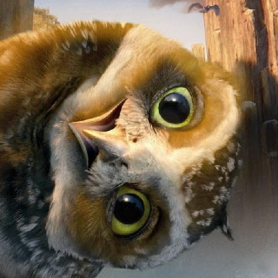 Совушки мультяшные