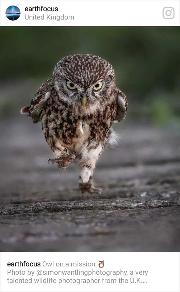 Пойду в гараж ключи забыл