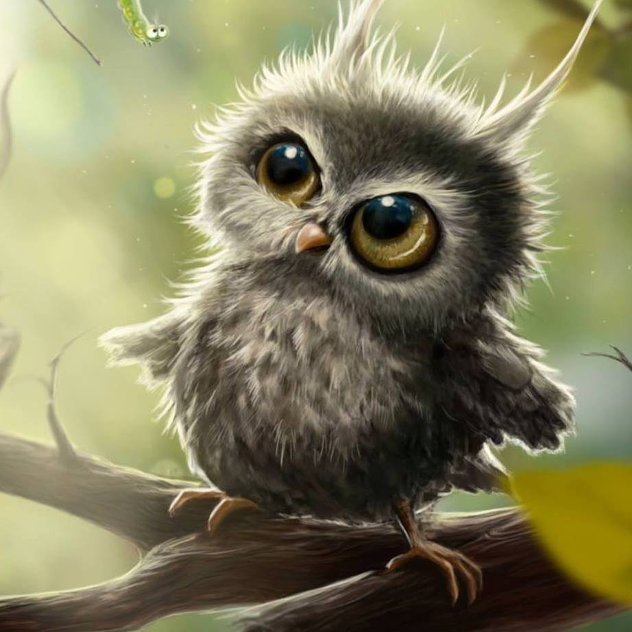 Прикольные Совы с надписями