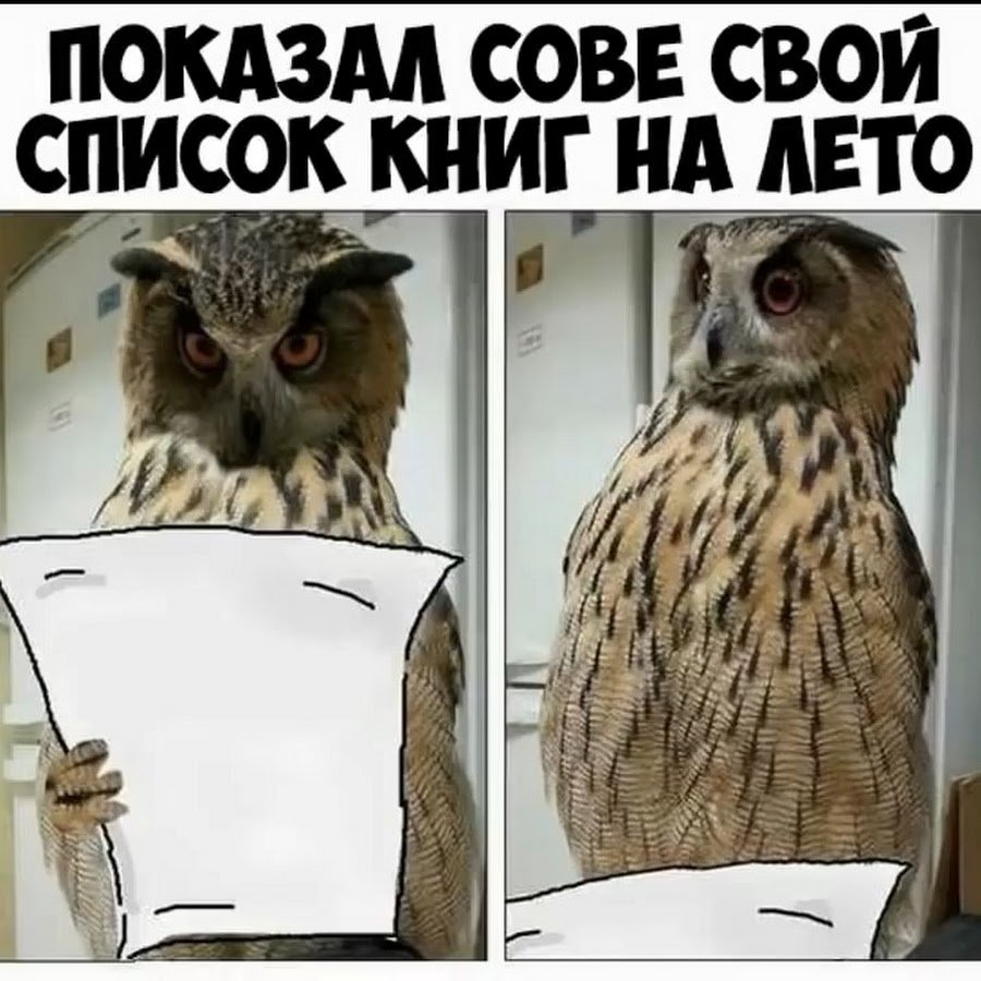 Алекс Солис милые хищники