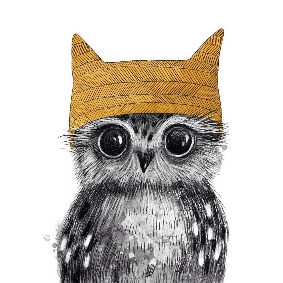 Сова в шапке