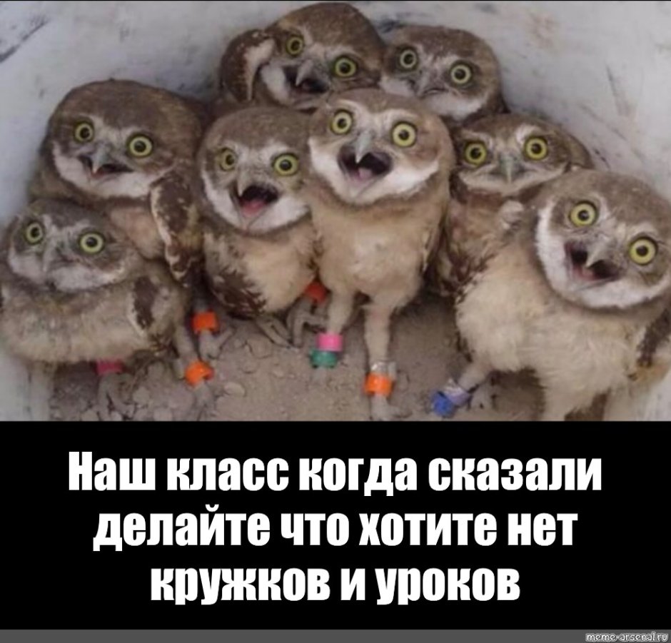 Пожелания доброго утра прикольные с юмором