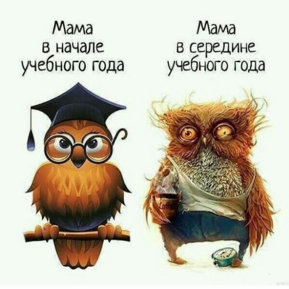 Прикольные Совы с надписями