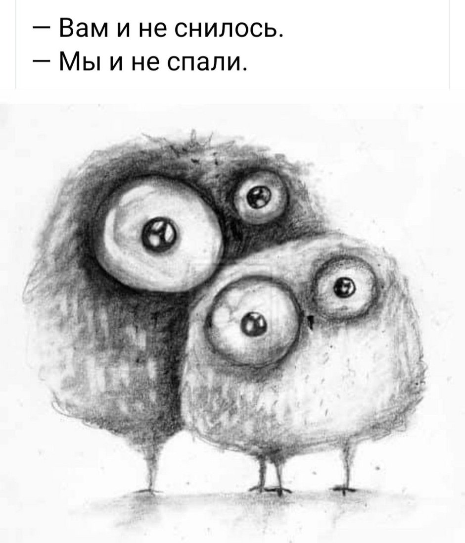 С днем рождения Сова