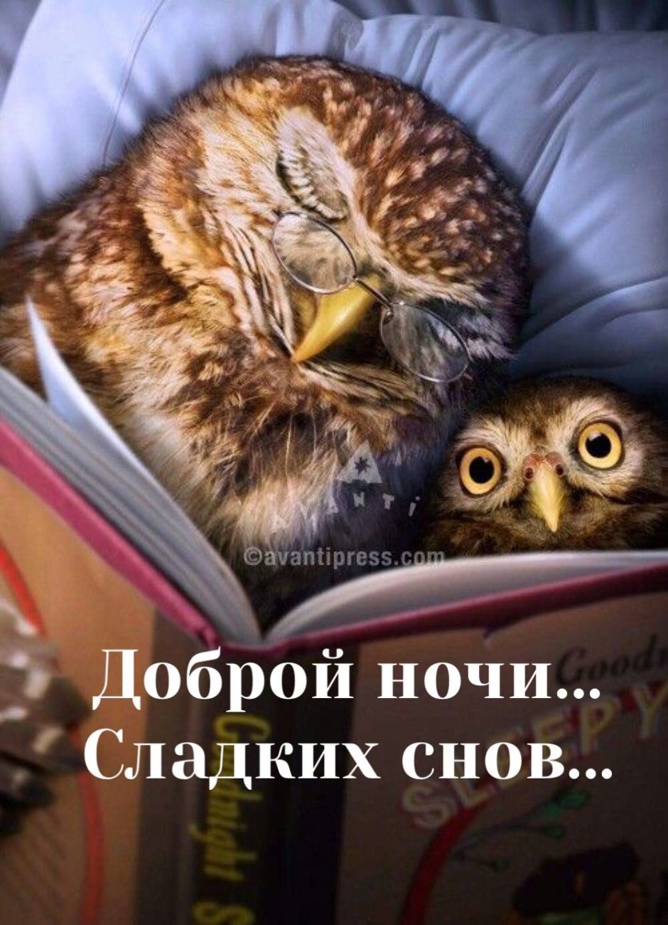 Учитель в конце учебного года