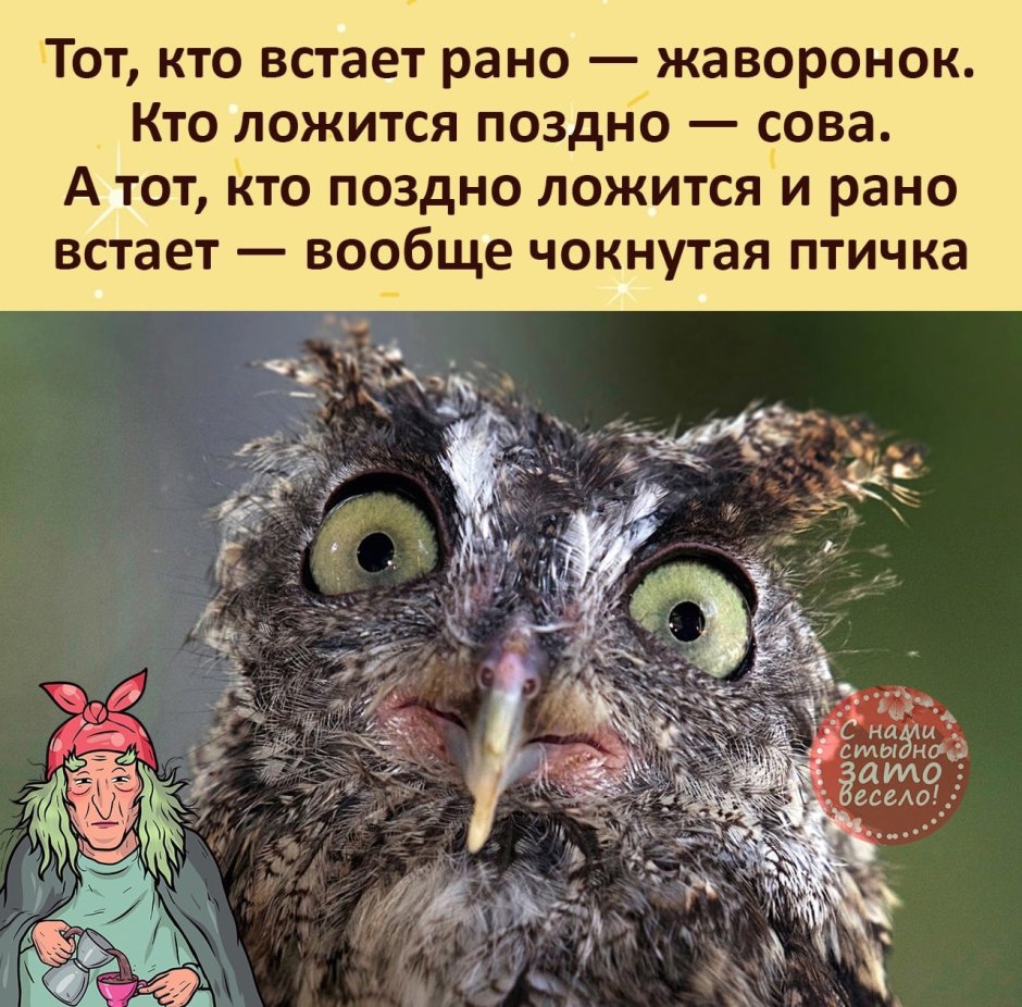 Доброе утро