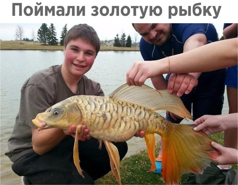 Рыба смеется над рыбаком