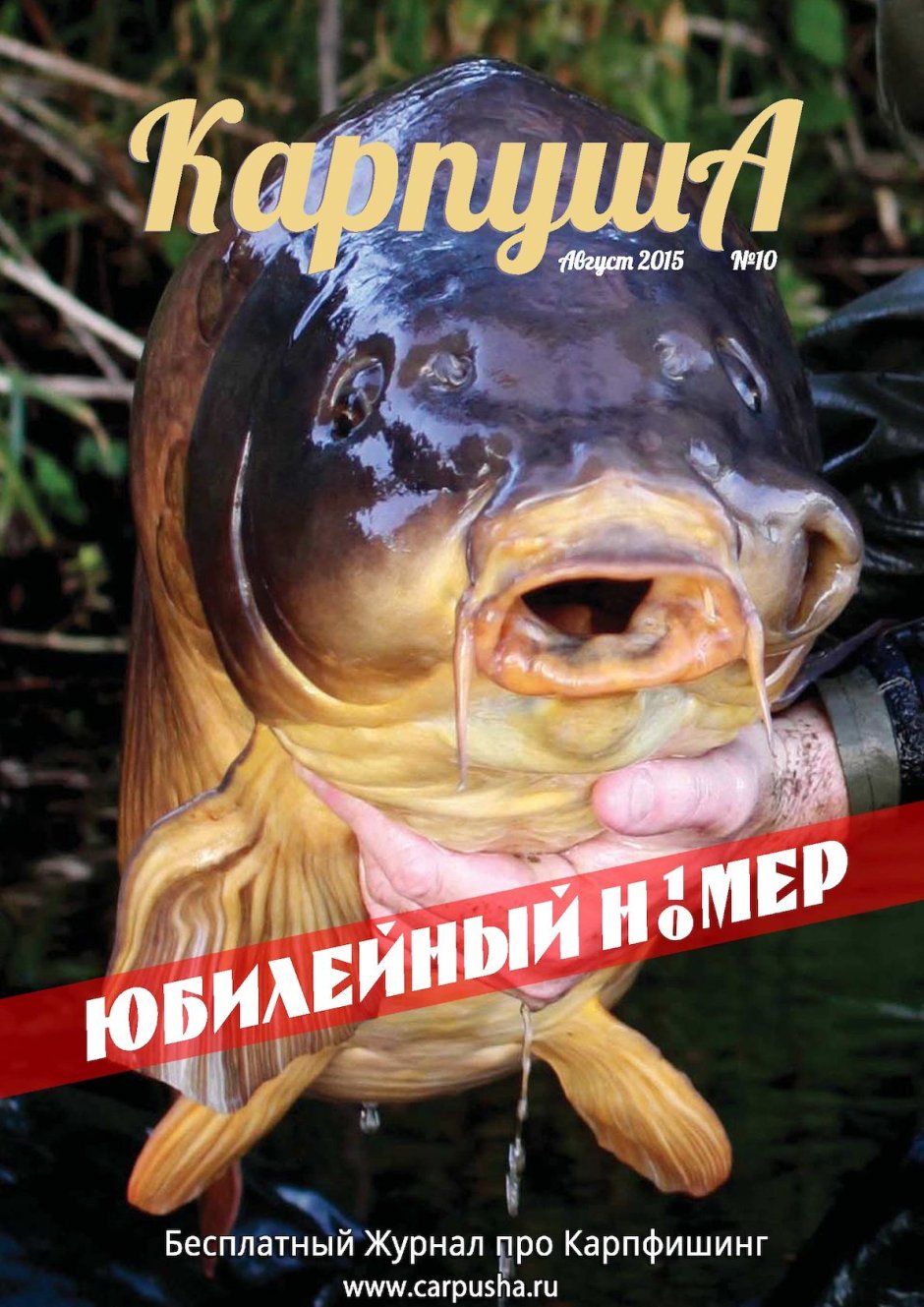 Щука на заставку