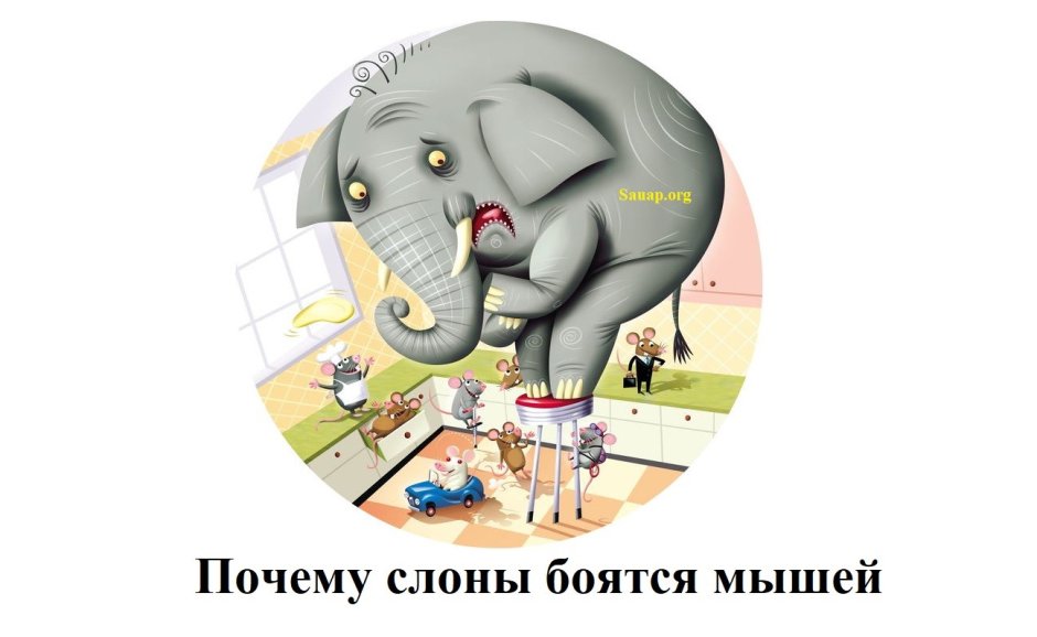 Слон боится мышей миф или реальность