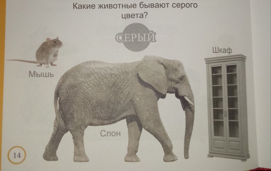 Что бывает серым