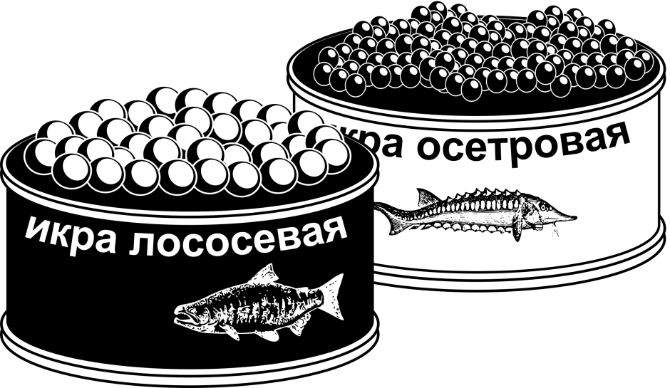 Шолтымо стерлядь