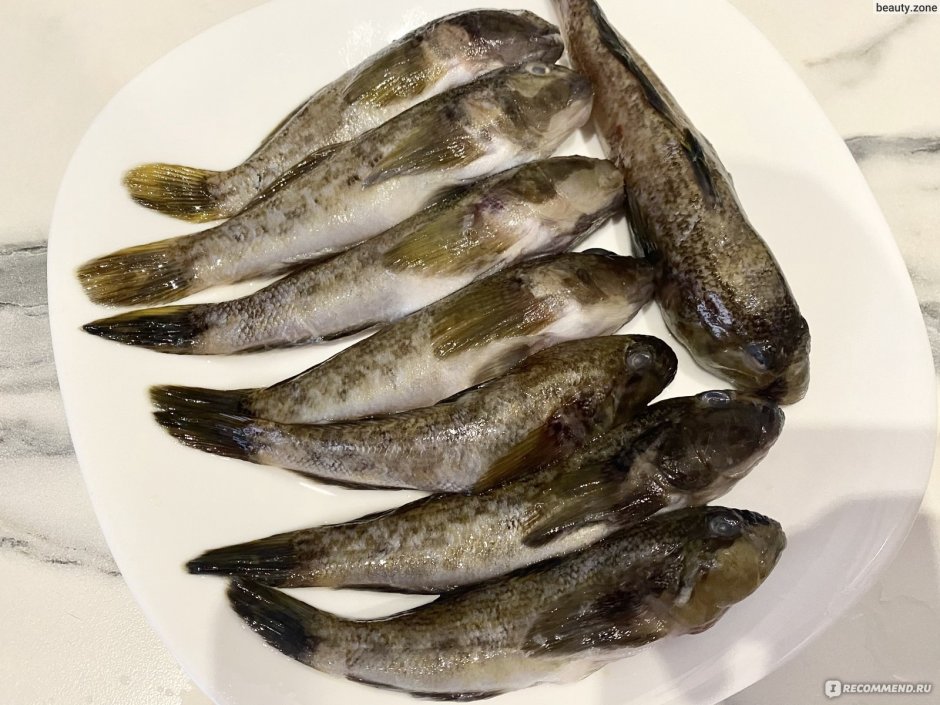 Морской бычок