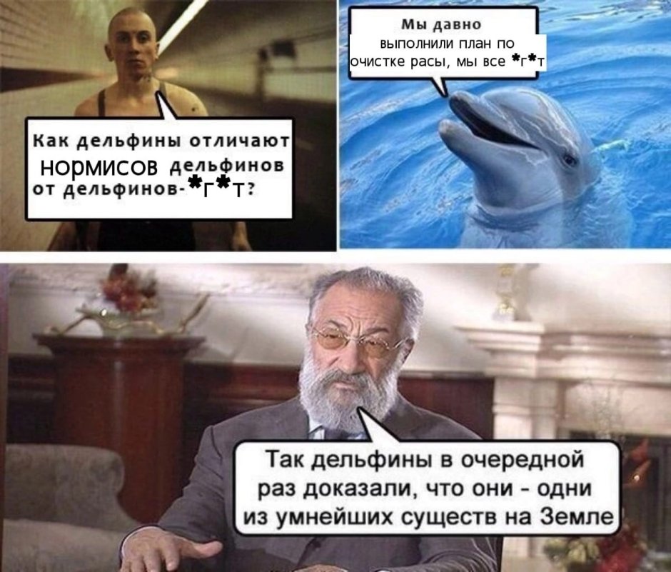 Шутки про дельфинов