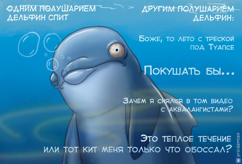 Шутка про дельфина