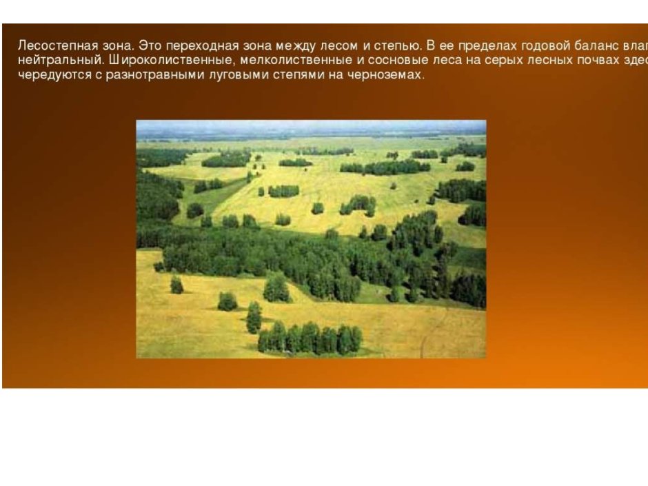 Зоны лесостепей и степей