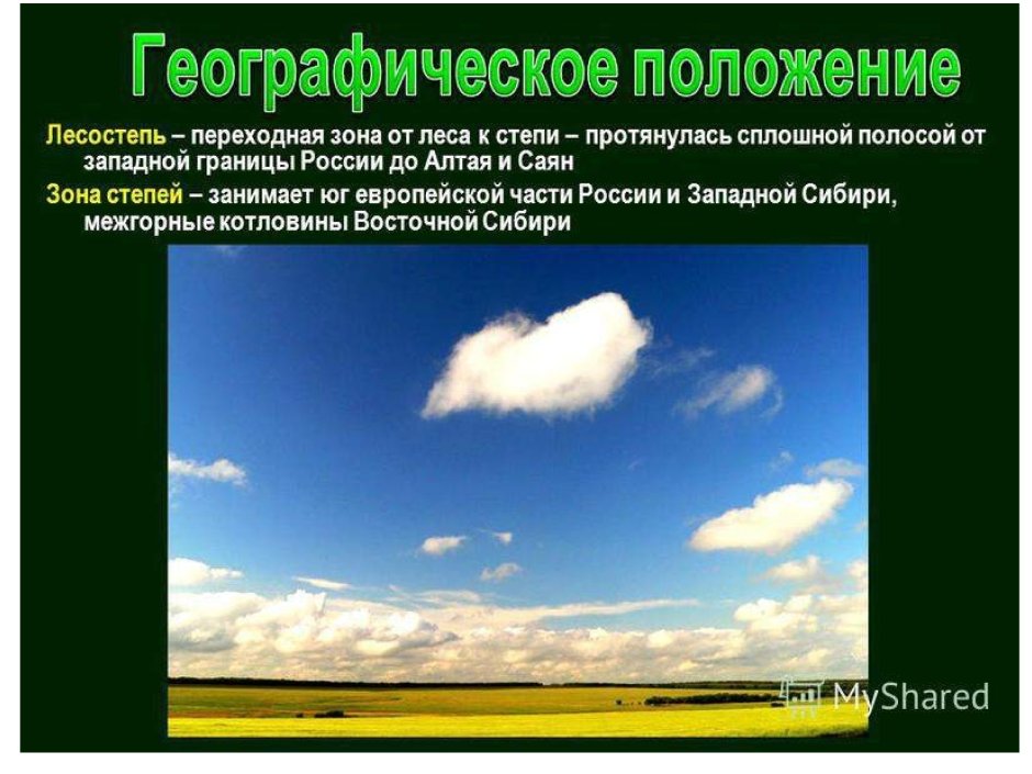 Географическое положение лесостепи