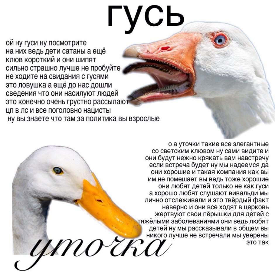Ужасный Гусь
