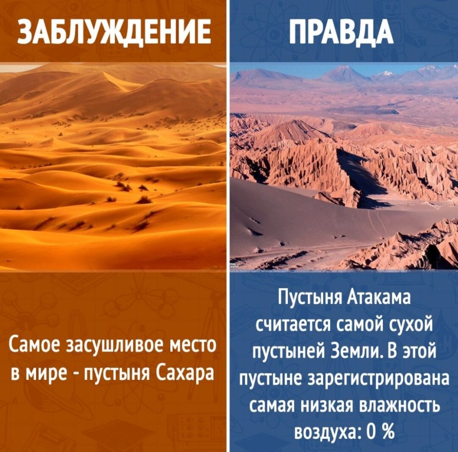 Африка пустыня Намиб фауна