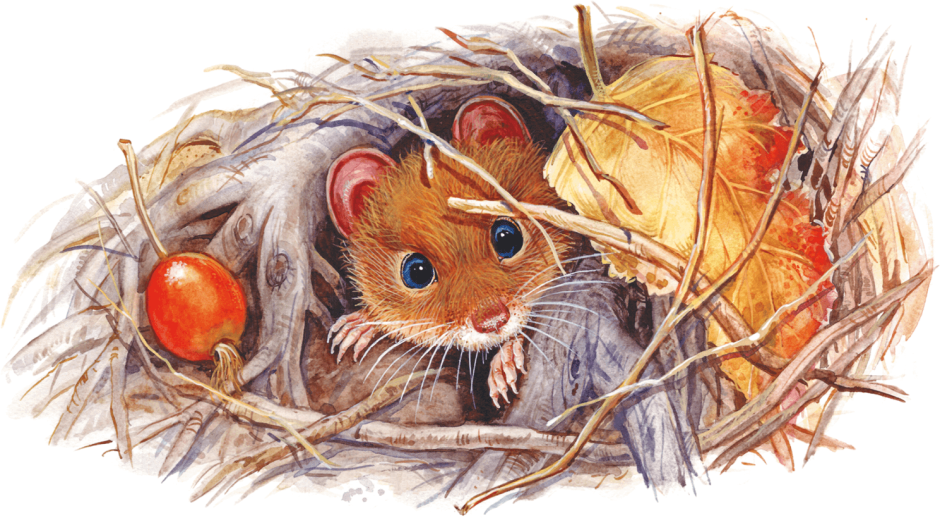 Бианки Виталий "мышонок пик"