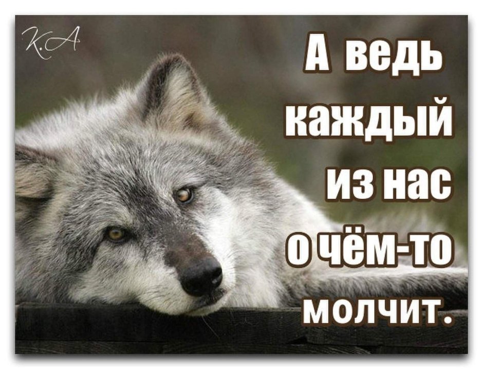 Койот оборотень Малия