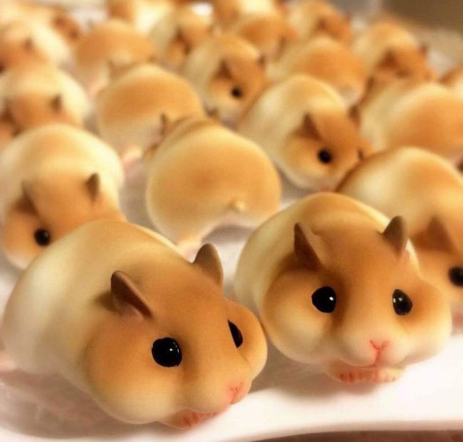 Рилаккума Эстетика