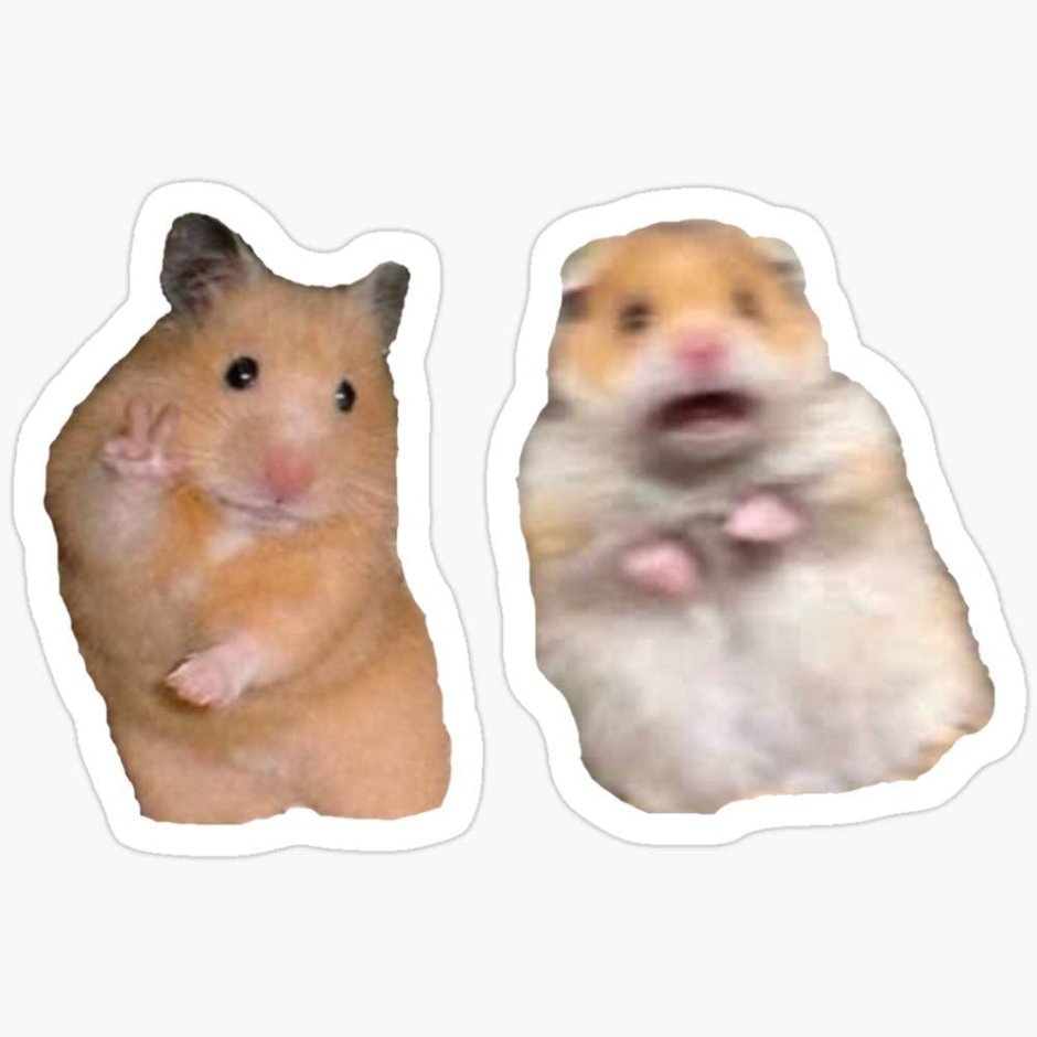 Орущий хомяк