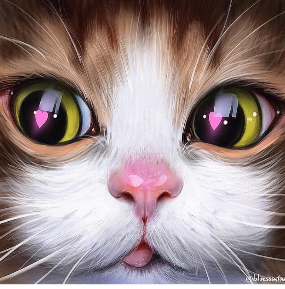 Лицо кота